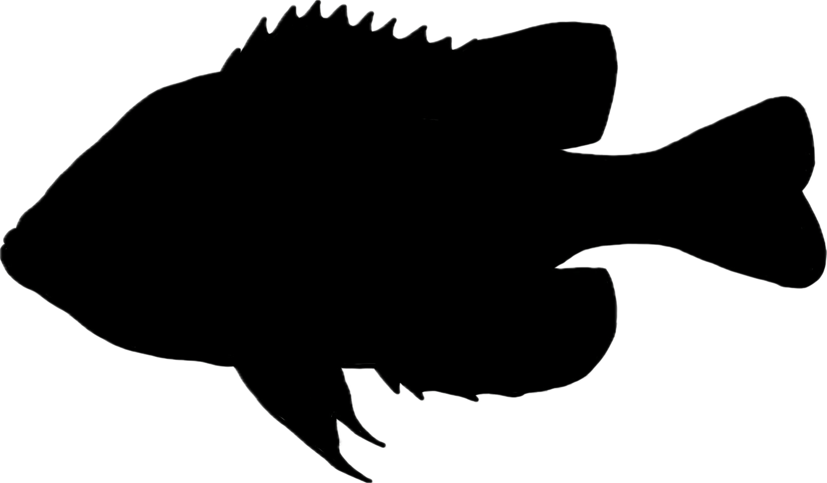 green sunfish silhouette