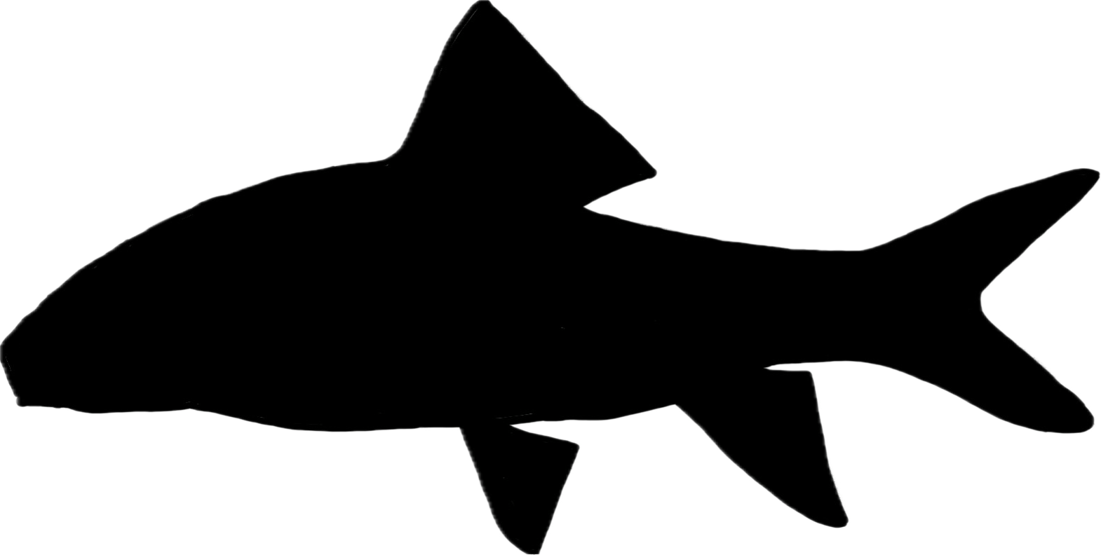 notchlip redhorse silhouette